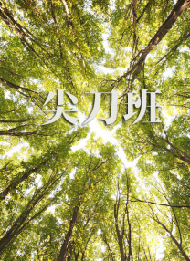 亚洲欧美精品在线